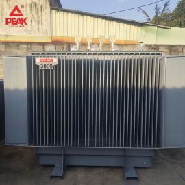   MBA 3PHA  3000kVA 22/0.4kV GPBA